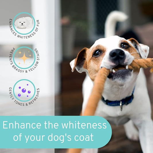 8 fl oz Dog Whitening Shampoo - Dog Shampoo for White Dogs - Brightens White and Darkens Dark Coats - Tearless and Natural - Hair and Fur Whitener for Dogs - Made in The USA