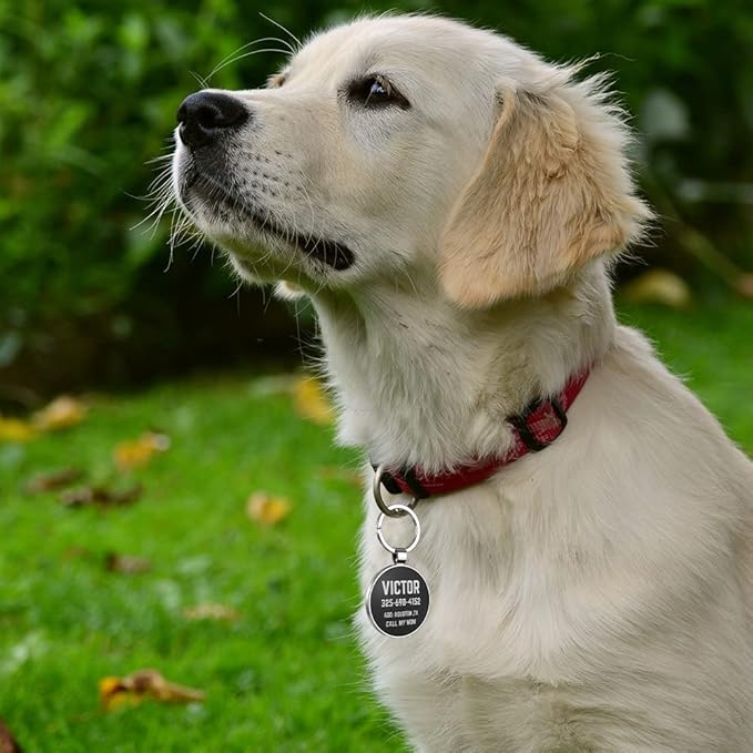 QR Code Dog Tag,Dog Tags Personalized for Pets, Custom Dog Name ID Tags Personalized Dog and Cat Tags -Free Online&Scan QR Receive Instant Location Alert Email