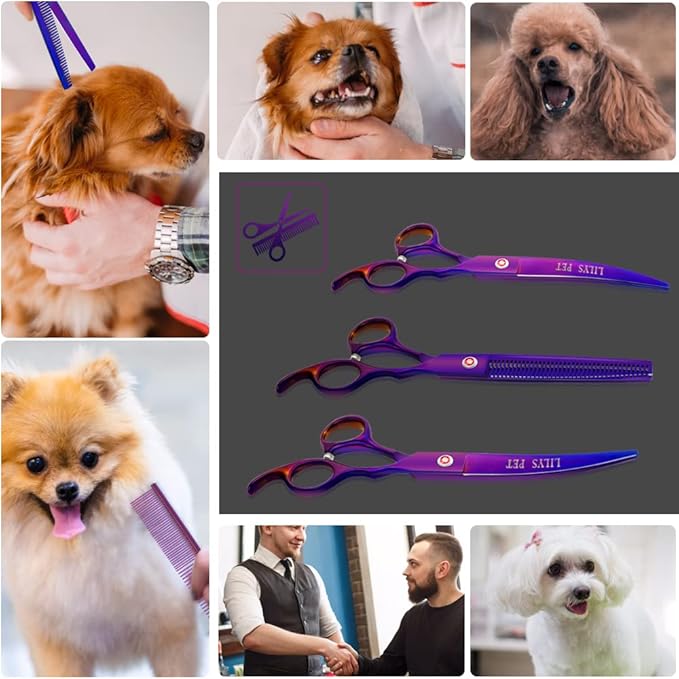 LILYS PET Professional PET DOG Grooming Coated Titanium scissors suit Cutting&Curved&Thinning shears (8.0 inches, Purple)…