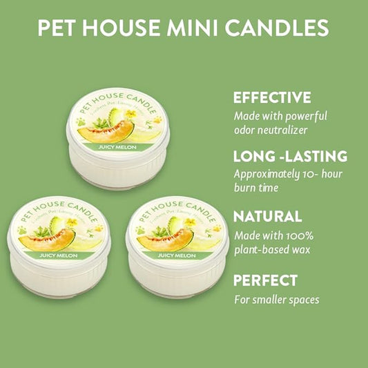 One Fur All Pet House Mini Candles for Pet Odor Made with Natural Soy Wax, Plant Based, Dog and Cat Friendly Scented Candles, Juicy Mellon Pack of 3