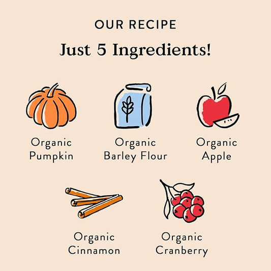 Bocce's Bakery All-Natural, Small Batch, Organic Dog Treats, Pumpk'n Harvest Biscuits, Wheat-Free, Limited-Ingredient, Made in The USA with 100% Recyclable Packaging, 12 oz Bag (DG-BC-PKH)