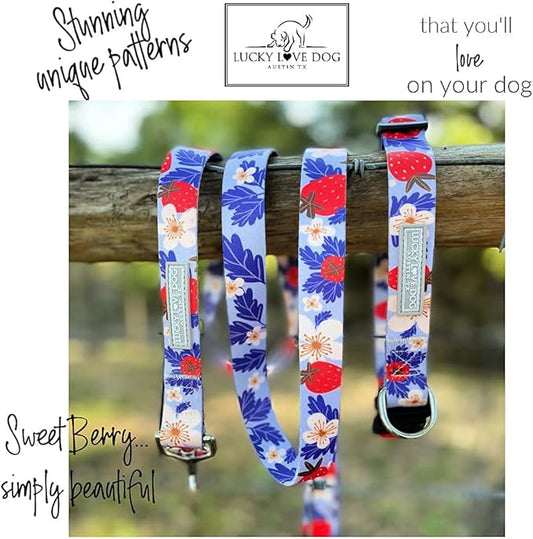 Lucky Love Dog Collar Combo Set, Strawberry Cute Girl Dog Collar and Leash Set, Dog Collar and Leash Set for X-Small Dogs, Part of Purchase Donated to Rescue (Extra Small, Sweet Berry, Combo)