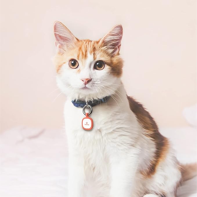 Pawaii QR Code Pet ID Tag, Dog Tag with QR Code, Silent Silicone Dog ID Tag, Modifiable Pet Online Profile, Free Online Pet Page Emergency Contact, 1Pack (Pink)