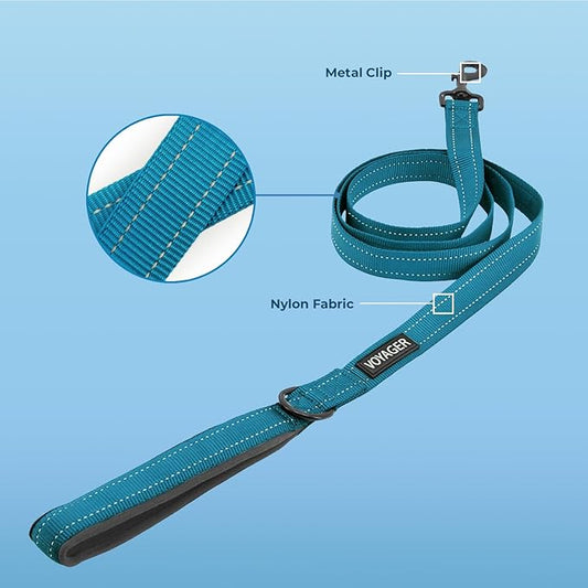 Voyager Reflective Dog Leash with Neoprene Handle, 6ft Long, Supports Small, Medium, and Large Breed Puppies, Cute and Heavy Duty for Walking, Running, and Training - Turquoise, L
