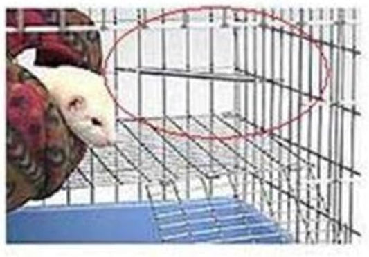 Marshall Ferret Corner Deterrent, 4-Pack