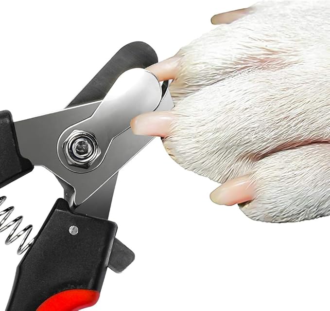Dog Nails Clippers Trimmer with Safety Guard to Avoid Over-Cutting, Razor Sharp Blades with Bonus Dog Nail File, Cat Claw Clippers with Sturdy Non Slip Handles for Pets Dog Cat(Red & Black)