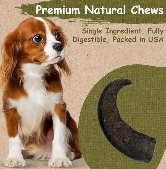 Top Dog Chews – Water Buffalo Horn, Long Lasting Dog Chew for Aggressive Chewers, All Natural, Dog Bone for Large & Medium Dogs, 3 Pack & 2 Pack (3 Pack, Buffalo)