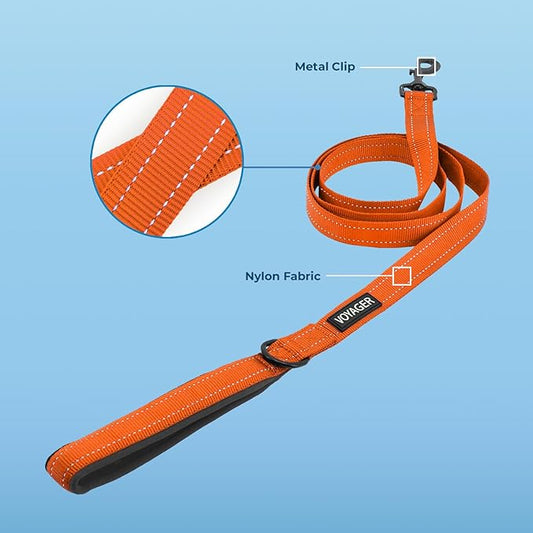 Voyager Reflective Dog Leash with Neoprene Handle, 5ft Long, Supports Small, Medium, and Large Breed Puppies, Cute and Heavy Duty for Walking, Running, and Training - Orange (Leash), M