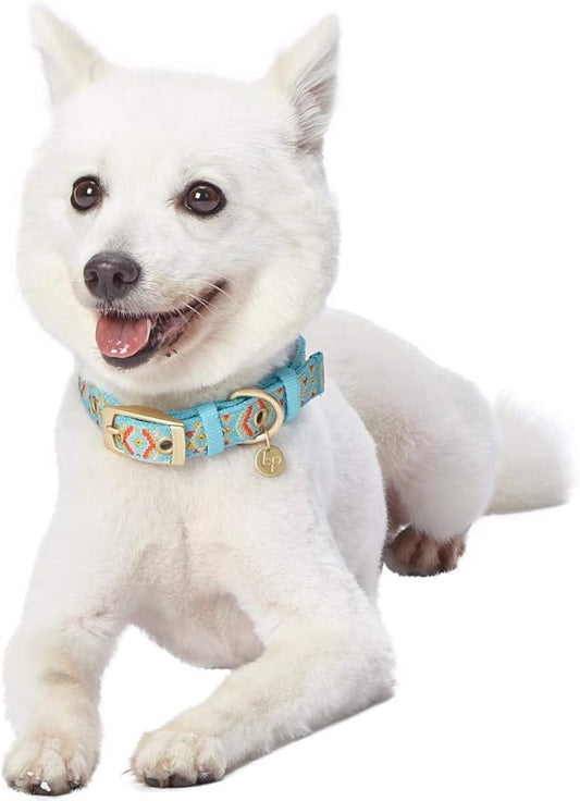 Blueberry Pet 3 Patterns Southwestern Magical Tribal Print Celeste Blue Adjustable Dog Collar with Metal Buckle, Neck 13-16.5", for Medium Breed
