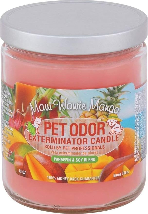 Maui Wowie Mango Pet Odor Exterminator 13 Ounce Jar Candle - Pack of 2