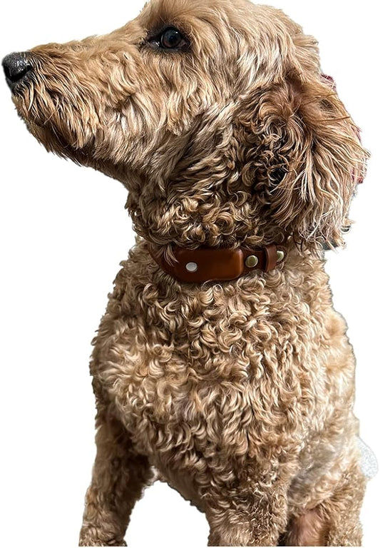 EtripTag Tracker Global Positioning Device GPS Finder Works with Find My app and Authorized MFI with Genuine Italian Leather Collar Large 23.5in Long for Dogs