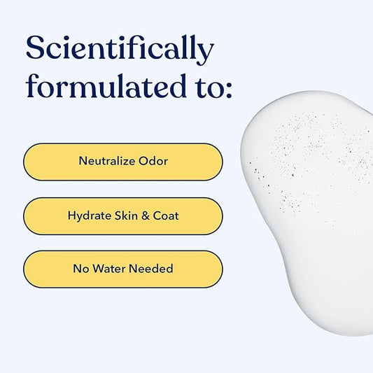 Honest Paws Dog Dry Shampoo - Waterless No Rinse Spray Formula Reducing Itch Cleanse Hydrate Nourish Dry Skin and Smelly Coat Help Decrease Odor Shedding and Allergies - Coconut & Mango - 8 oz