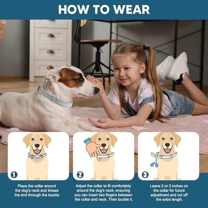 Flea Collar for Dogs, 8 Months Protection Flea & Tick Collars for Dogs, Dog Tick Collar, Adjustable One Size Fits All 2 Count 
