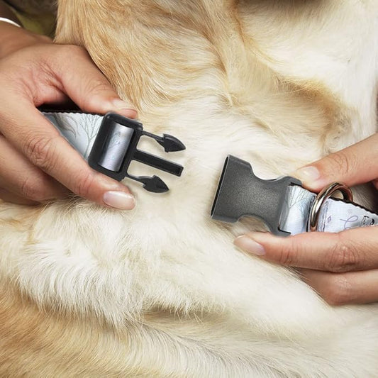 Disney Pet Collar, Dog Collar Plastic Buckle, Frozen Elsa Snowflake Pose with Trees and Script Blues, 20 to 31 Inches 1.5 Inch Wide