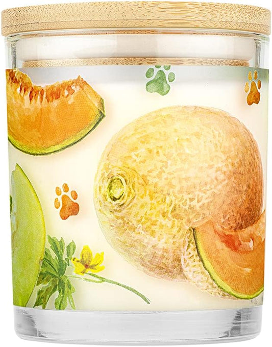 Pet House 9 oz Juicy Melon Scented Pet Odor Candle, Clean Burning, Long Lasting, Plant Based Spring, Summer Scented Soy Candle, 60 Hour Burn Time