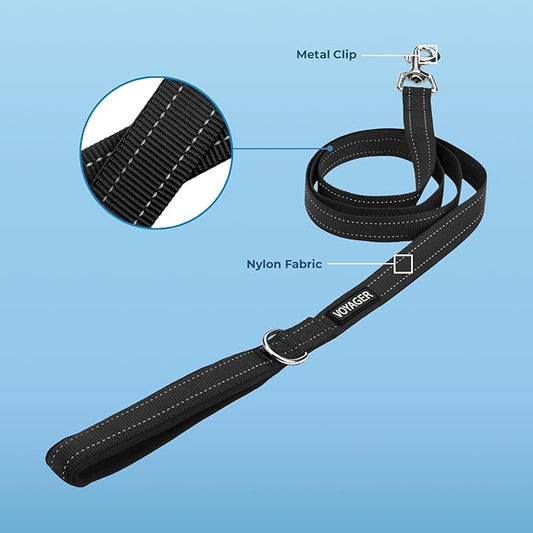 Voyager Reflective Dog Leash with Neoprene Handle, 6ft Long, Supports Small, Medium, and Large Breed Puppies, Cute and Heavy Duty for Walking, Running, and Training - Black, L