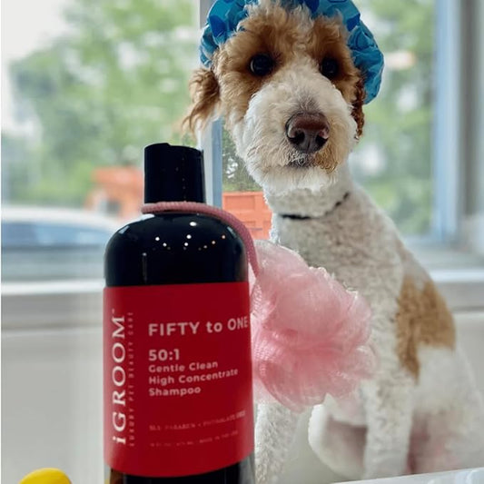 iGroom 50 to 1 Dog Shampoo - Delightfully Fragranced & Highly Concentrated – Best Dog Shampoo - Groom Like Professional - Environmentally Sustainable – Sooth & Nourish Coat - Made in USA, 16 oz