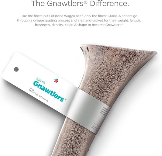 Pet Parents Gnawtlers® - Premium Split Antlers for Dogs, Naturally Shed Split Elk Antlers, All Natural Split Elk Antler Dog Chew, Specially Selected from The Heartland Regions (Small)