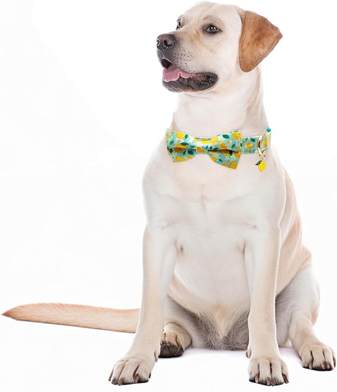Fashionable Dog Collar with Bow Tie for Small Medium Large Dogs,Cute and Soft Puppy Collar for Male Female Dogs,Yellow Durable Cotton Dog Collar with Adjustable Buckle Lemon Pattern (L, Yellow Lemon)