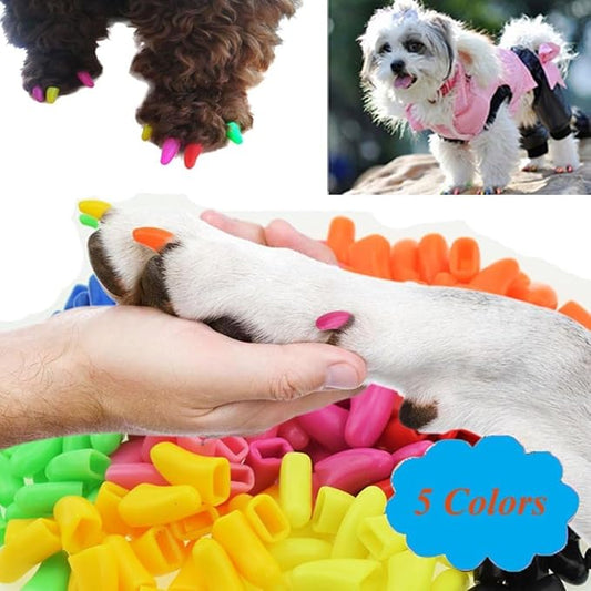 100pcs Dog Nail Caps Dog Caps Dog Nail Covers for Pet Dog Paws with 5pcs Adhesive Glue+5pcs Applications and Instructions