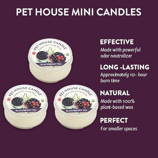 One Fur All Pet House Mini Candle - BlackBerry Tea 3 Pack - Odor Eliminator - Natural Wax - Pet-Friendly Non-Toxic Scented Candle Set
