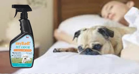 Pet Stain & Odor Eliminator Spray 24 oz