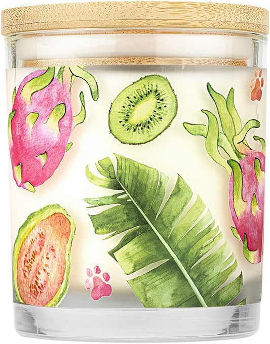 Pet House 9 oz Tropical Fruit Scented Pet Odor Candle, Clean Burning, Long Lasting, Plant Based Spring, Summer Scented Soy Candles, 60 Hour Burn Time, Pack of 2