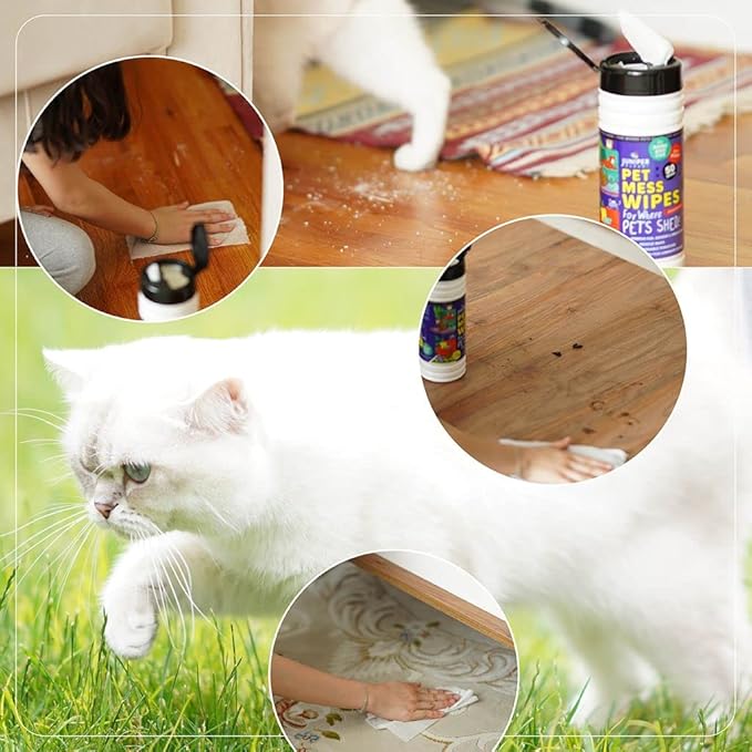 Pet Mess Wipes for Pets Cleansing, Wipes for Dogs and Puppies–Remove Fur, Dander, Smells from Vehicle Seats, Washable Furniture, Wood, Tile, and Laminate Floors 50 Count (Pack of 4)