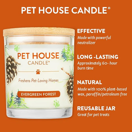 One Fur All Value Pack, Pet Friendly Candles, Concentrated Room Spray and Car Air Freshener, Long Lasting Plant-Based Pet Odor Candles for Home, Evergreen Forest