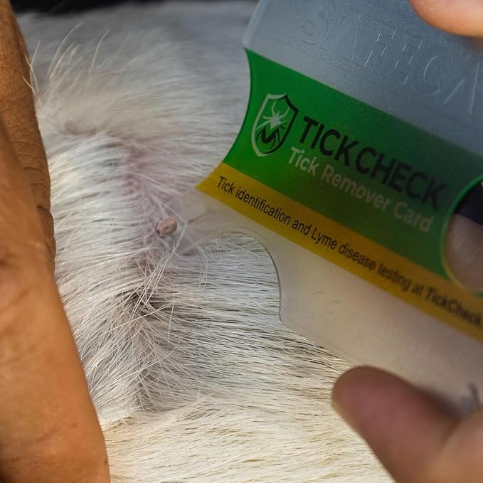 Tick Remover Card - Wallet Sized Tick Removal Tool with Free Tick ID Card & Testing Information - for People, Dogs, Cats (2)