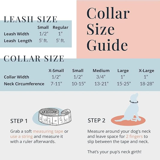 Lucky Love Dog, Summer Stripes Dog Collar and Leash Set, Yellow, Pink, Blue Summer Dog Collar and Leash, Cute Dog Combo Set for Girl Boy Dogs - (Extra Large, Molly Combo)