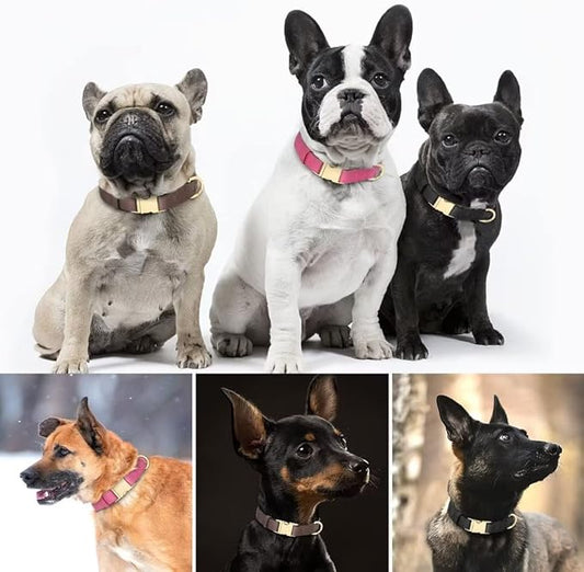 Beirui Genuine Leather Dog Collar with Quick Release Metal Buckle, Comfortable Leather Collar for Small Medium Large Dogs