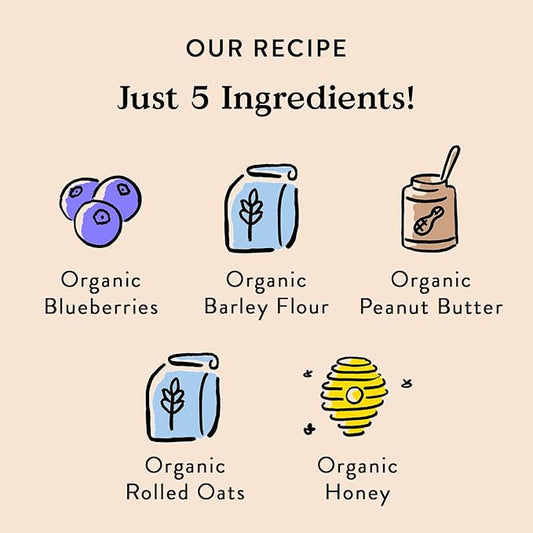 Bocce's Bakery All-Natural, Small Batch, Organic Dog Treats, Wild 'Berry Biscotti Biscuits, Wheat-Free, Limited-Ingredient, Made in The USA with 100% Recyclable Packaging, 12 oz Bag (DG-BC-WBB)