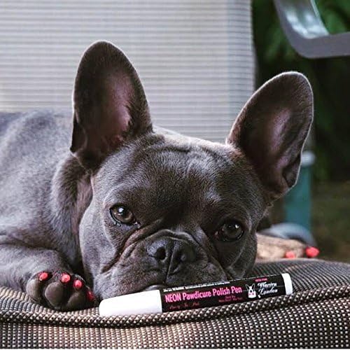Warren London Pawdicure Dog Nail Polish Pens | Made in USA | Quick Dry, Low Odor, Non-Toxic Dog Accessories | Ideal for Dog Birthday, Dog Costume | 13 Colors | Neon Orange