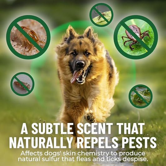 Flea and Tick Chewable Pills - No Harsh Chemicals - 100 Chicken Flavored Treats - Guardian's Choice Pets Brand - Tasty Chews Flea Pills Dogs Love