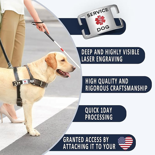 No Noise Stainless Steel K9 Service Dog Pet ID Jewelry Tags, Slide on Dog Collar or Harness Quickly and Securely – Stainless Steel/Large