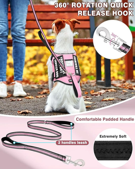 Service Dog Vest Harness and Leash Set+10 Patches for Puppy Small Dogs,Do Not Pet Emotional Support Dog Vest with 2 Soft Padded Handle for Everyday/Training (Pink XS)