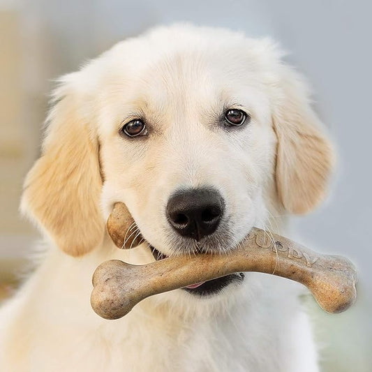 Benebone Puppy Fishbone Dog Chew Toys, Softer for Modest Chewers, Made in USA