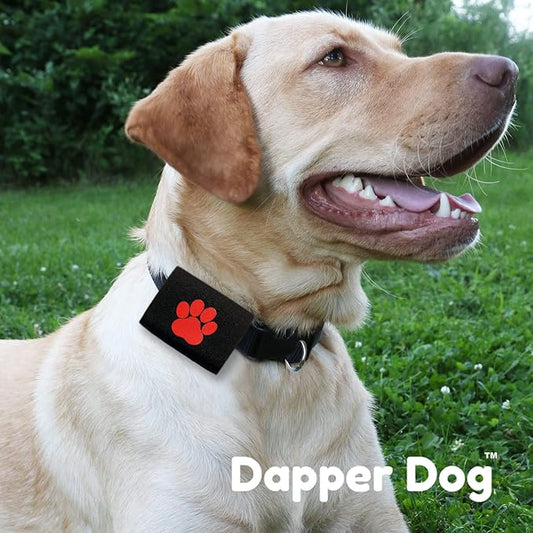 Dapper Dog Pet Tag Silencer and AirTag Holder (Black with Red Paw)
