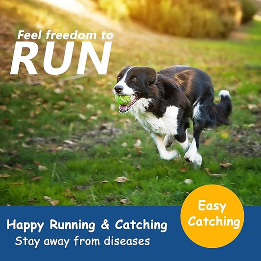 Tennis Balls for Small Dogs Pack of 12 Colorful Easy Catching Pet Toy Balls (2.0inch-4colors)