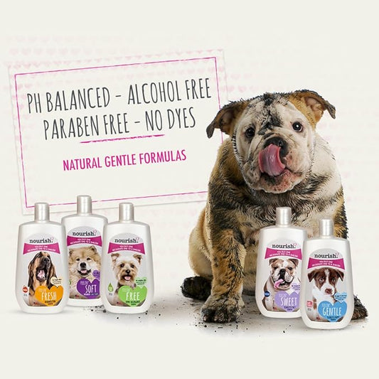 Nourish Natural Whitening Dog Shampoo for Sensitive Coats, Spring Flower Scented 16 oz - You Buy 1, We Donate 1 to a Shelter, Made in USA, PH Balanced