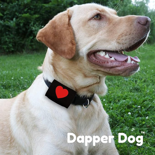Dapper Dog Pet Tag Silencer and AirTag Holder (Black with Red Heart)