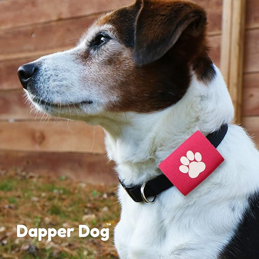 Dapper Dog Pet Tag Silencer and AirTag Holder (Pink with White Paw)