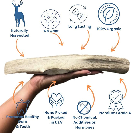 Elk Antlers for Dogs - Dog Antlers for Aggressive Chewers - USA Sourced Elk Antler for Dogs to Promote Oral Health - Long Lasting Antler Chews for Small, Medium, Large & XLarge Dogs
