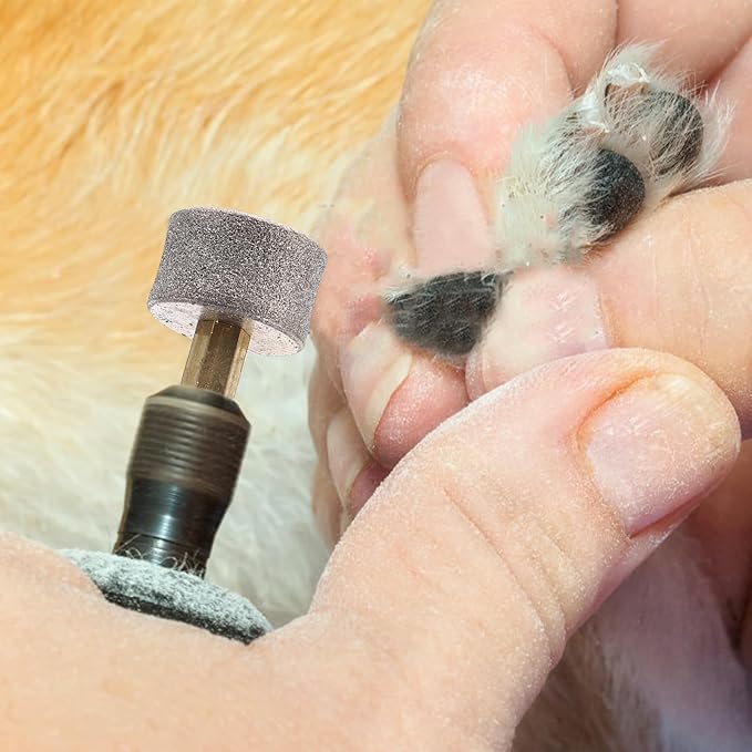 10PCS Dog Nail Replacement Heads Compatible with Casfuy, Dog Nail Wheel Pet Nail Tip, Electric Paw Grinding Head