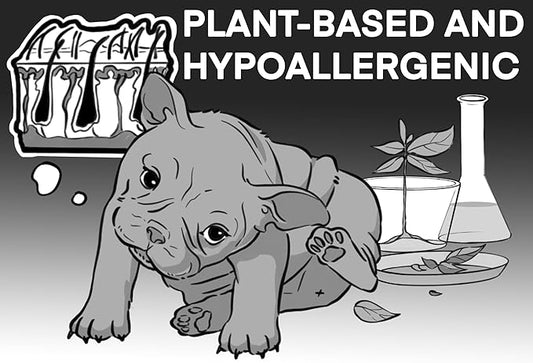 Dog Wipes - Extra Thick and Large Plant-Based Hypoallergenic Grooming Wipes for Dogs, Fragrance-Free, 60-Count - Perfect for Paws and Coats - Luxuriously Moist and Pet Cleaning Wipes