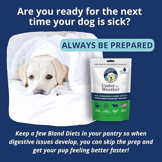 Under the Weather Bland Diet for Dogs | Easy to Digest for Sick Dogs |Always Be Ready| Contains Electrolytes - Natural Freeze Dried 100% Human Grade Meats| 6 Pack- Rice, Hamburger & Sweet Potato - 6oz