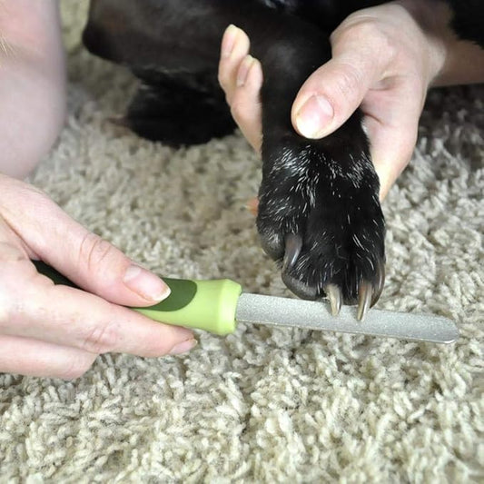 Coastal Pet Safari Dog Diamond Nail File - Diamond Finish for Smooth Nails - Removes Burs from Outdoor & Indoor Dogs - One Size