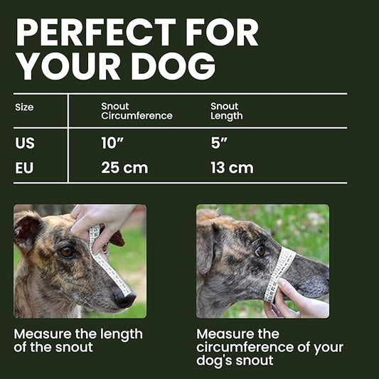 BRONZEDOG Dog Muzzle Wire Basket Metal Mask for Small, Medium and Large Dogs, Breathable, Dog can Drink, Adjustable, Padded, Training, Prevents Biting (Size 8: Greyhound & Collie)