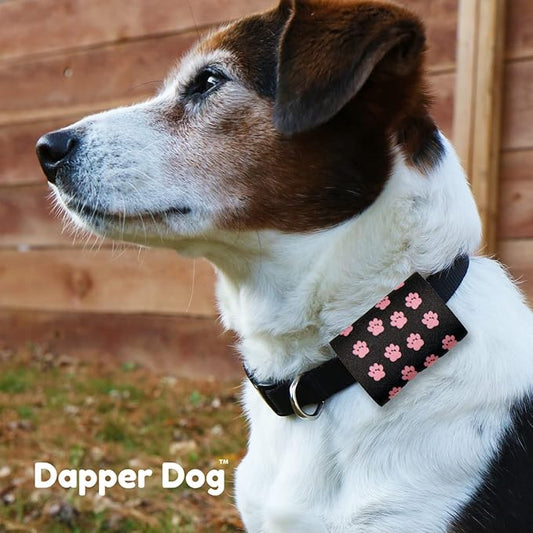 Dapper Dog Pet Tag Silencer and AirTag Holder (Black with Small Pink Paws)